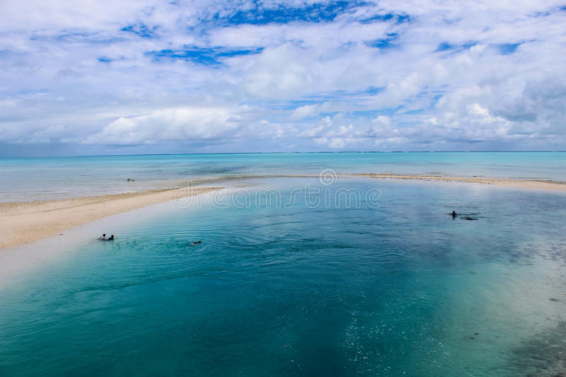 xc sports|传茅台酒香型为加敌敌畏勾兑贵州茅台驳斥传言(图2) xc sports