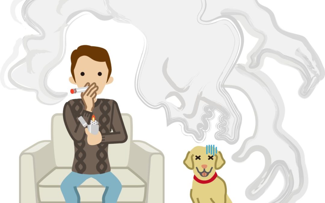 xc sports|10日法甲推荐:马赛VS图卢兹(图2) xc sports