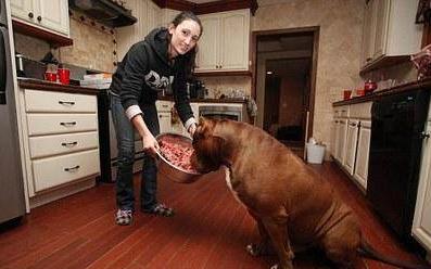 xc sports:赠柳圆(图1) xc体育