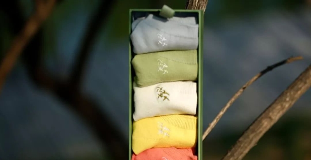 ‘xc sports’李影承认因伤无法参战东亚杯 盼女足最终能夺冠(图1) xc sports