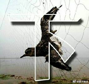 子宫发育异常症状有三 什么原因诱发了此病|xc sports(图1) xc体育